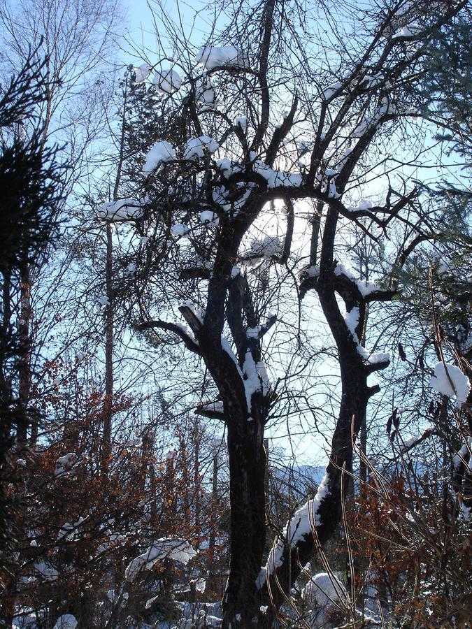 Welcome-Bienvenue-Добро Пожаловать フラッハウ エクステリア 写真
